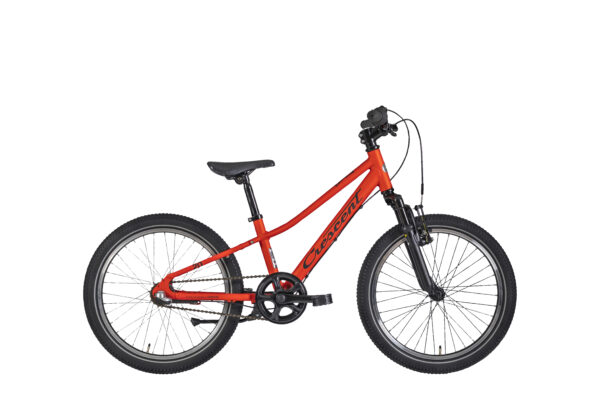 Narre 20", 3-vxl - Bild 3